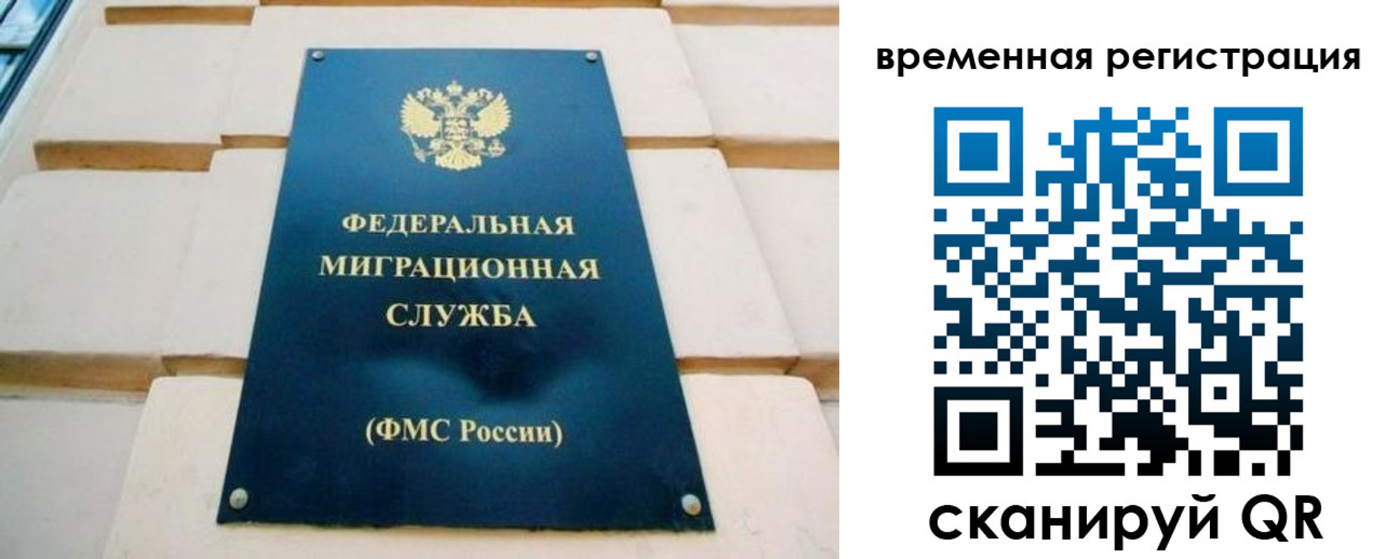прописка гарантия в Опочке